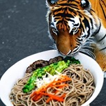 AnyConv.com__tiger eat soba